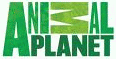 Animal Planet logo