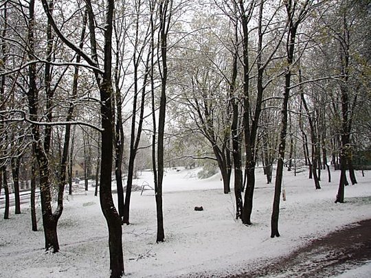 Pirmadienį buvo žiemiškas rytas Šiauliuose, bet antradienį jis kur kas žiemiškesnis: Šiaulių miesto senojo parko prieigos.