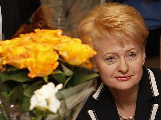 D.Grybauskaitė pasiekė pergalę prezidento rinkimuose. D.Grybauskaitė pasiekė pergalę prezidento rinkimuose.
